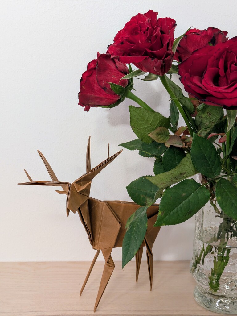 Deer by Jun Maekawa folded by Grigory Sarnitsky