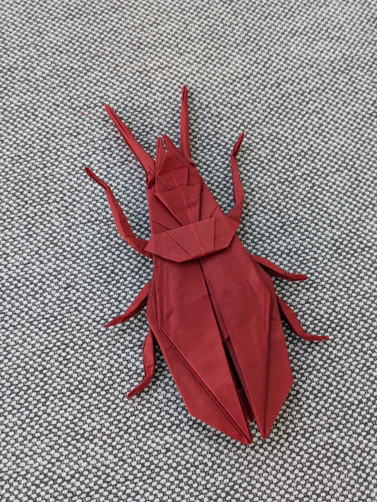 Ground Beetle by John Montroll folded by Grigory Sarnitsky