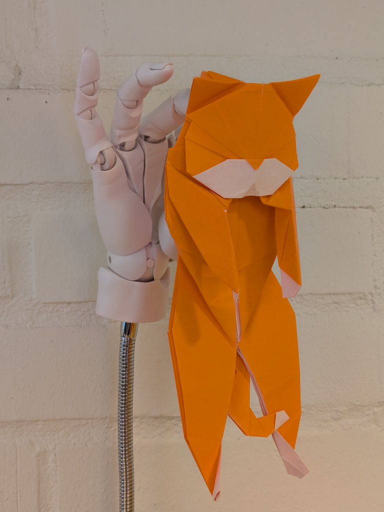 Naughty cat by Gen Hagiwara folded by Grigory Sarnitsky