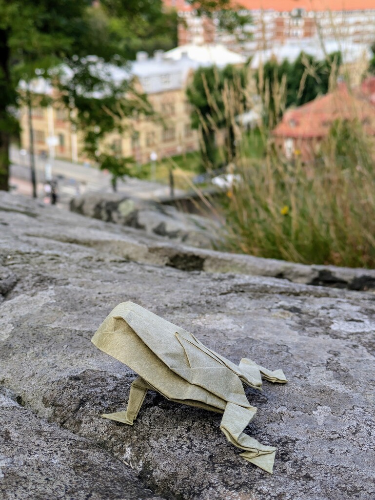 Traditional Frog folded by Grigory Sarnitsky